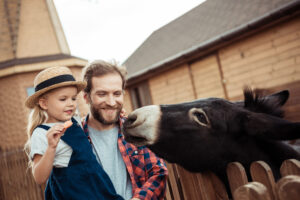 Family Donkey Richfield MN